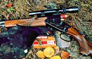 allmnjakt, ammunition, bird hunting, black grouse, blackcock, gun, hunting, shot-gun