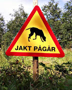 allmänjakt, hunting, hunting road sign, sign, underway, warning