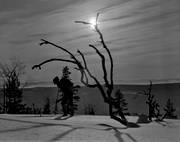 ambience pictures, atmosphere, backcountry skiers, black-and-white, moon, moonlight, ski tour, ski touring, skies, skiing, stmmning, vinterbild, winter ambience, winter landscape