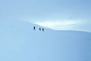 backcountry skiers, mountain, mountain, mountain sky, Oviksfjallen, ski touring, skier, skiing, Western mountain, wild-life, winter, winter's day, ventyr