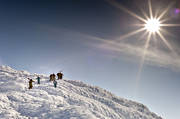 Areskutan, down-hill running, mountain, offpist, playtime, skier, skies, skiing, sport, winter, äventyr