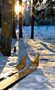 ambience, ambience pictures, atmosphere, backlight, christmas, christmas ambience, christmas card, christmas pictures image, laplandic skis, season, seasons, skies, wilderness, winter, winter pictures, wooden skis