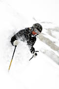 deep snow, down-hill running, fresh snow, loose snow, offpist, powder, ski, ski, ski fun, skier, skies, skiing, snow, sport, winter