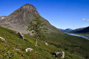 alpine, Bielloriehppe, landscapes, Lapland, Laponia, mountain, mountain peaks, mountain top, nature, Pielloreppe, Rapa Valley, Rapaselet, Sarek, Sarek nationalpark, Sarekfjll, Skoarkki, Skrki, summer