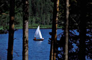 boatlife, boats, communications, rowboat, rowboats, sail, sail, shipping, small boat with sails, summer, Vall lake, water