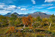 alpine, alpine landscape, autumn, autumn colours, getryggen, Jamtland, landscapes, mountain, mountain top, nature, red, red, Snasen, Snasenmassivet, Storsnasen, tvaraklumpen