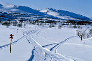 Friningen, Jamtland, landscapes, mountain, Saljaren, snowmobile trails, track, track mark, winter