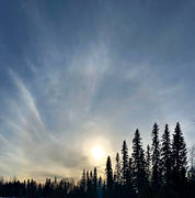 backlight, biotope, biotopes, korona, nature, sky, spruce forest, sun, sunset, winter sky, woodland