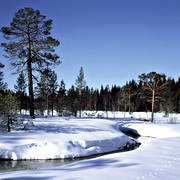 Blejkmyren, creek, Jamtland, landscapes, snow, spring-winter, winter, winter morning
