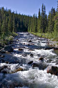 creeks, fishing spots, forest land, forest river, fresh, Hglekardalen, Jamtland, nature, Storn, stream, vatten, woodland