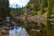 avalanche, biotope, biotopes, forest tarn, Jamtland, landscapes, lichens, nature, naturreservat, softwood forest, Styggdalen, summer, tarn, vatenspegling, vatten, virgin forest, wildwood, woodland