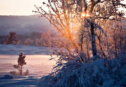 ambience, atmosphere, dawn, hoarfrost, landscapes, morning, nature, seasons, snow, snow landscape, sun, sunrise, winter
