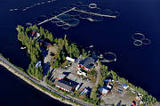 aerial photos, aerial pictures, summer