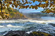 attractions, autumn, autumn colours, autumn leaves, Jamtland, landscapes, stream, tannforsen, vatten, water fall, watercourse