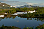 alpine birch, Anaris, Anaris Mountains, downy birches, Jamtland, landscapes, mountain, mountain lake, mountains, season, seasons, snow, snowy patches, spekgelblank, spring