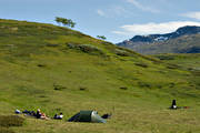 alpine hiking, fjllng, green, national park, Padjelanta, summer, tent, tent camp, ventyr