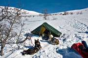 mountain, mountains, national park, national parks, ski touring, sled dog, sled dogs, Sododalen, Sonfjllet, tent camp, winter, ventyr