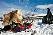 break, national park, national parks, rasta, rest, rests, ski touring, sled dog, sled dogs, Sododalen, Sonfjllet, winter, ventyr