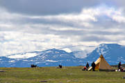 culture, dwelling, residence, Lapland, mountain, playtime, ritsem, saami people, saami person, sami culture, Sapmi, summer, teepee, tent, tent teepee