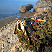 angling, casting rod, fish, fishing, Hana lake, reel, reel fishing, reel fishing rod, spin fishing, spinning, trout