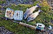 angling, fishing, fly box, fly rod, flyfishing, trouts