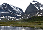 alpine, Kebnekaise, landscapes, Lapland, mountain, mountain, mountain top, mountains, nature, seagull, seagulls, summer, tuolpagorni