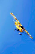 aeroplane, aviation, communications, fly, ski flight, skies, Super Koala, ultra-light, winter flying