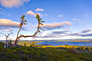 Arjeplog, blue, evening sun, galtispuoda, Hornavan, lake, landscapes, Lapland, summer, trdgrns, view, view