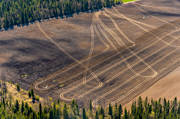 aerial photo, aerial photo, aerial photos, aerial photos, agriculture, backlight, drone aerial, drnarfoto, field, field, Jamtland, landscapes, pattern, randigt, rnder, season, seasons, spring, traktorspr, vrbruk, wheel-track