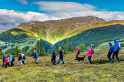 alpine hiking, Areskutan, hike, mountain, mountain top, nature, outdoor life, people, summer, walk, wanderer, footer, ventyr