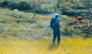 alpine hunting, bird hunting, hunting, pointing dog, shoot, shot, uppflog, white grouse hunt, white grouse hunter