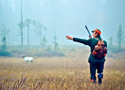 bird hunting, directing, hunter, hunting, pointing dog, white grouse hunt