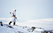 alpine hunting, alpine mountains, hunting, mountain, ptarmigan, vinterjakt ripa, vinterripa, white grouse hunt, winter