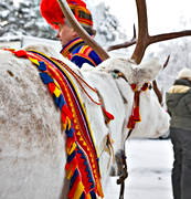 culture, Jokkmokk, Jokkmokks Marknad, market, reindeer, samhllen, sami culture, seldon, vintermarknad