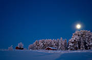ambience, ambience pictures, atmosphere, christmas ambience, full moon, moonlight, night, pines, season, seasons, snow-weighted, winter, winter's night