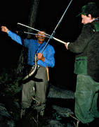 angling, angling, eel, eel fishing, fishing, herrevad stream, night fishing, night fishing, lar, lmete